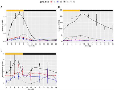 Interaction of Nitrate Assimilation and Photorespiration at Elevated CO2